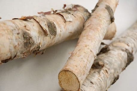 Birch Poles 1-2" Dia/48" Long
