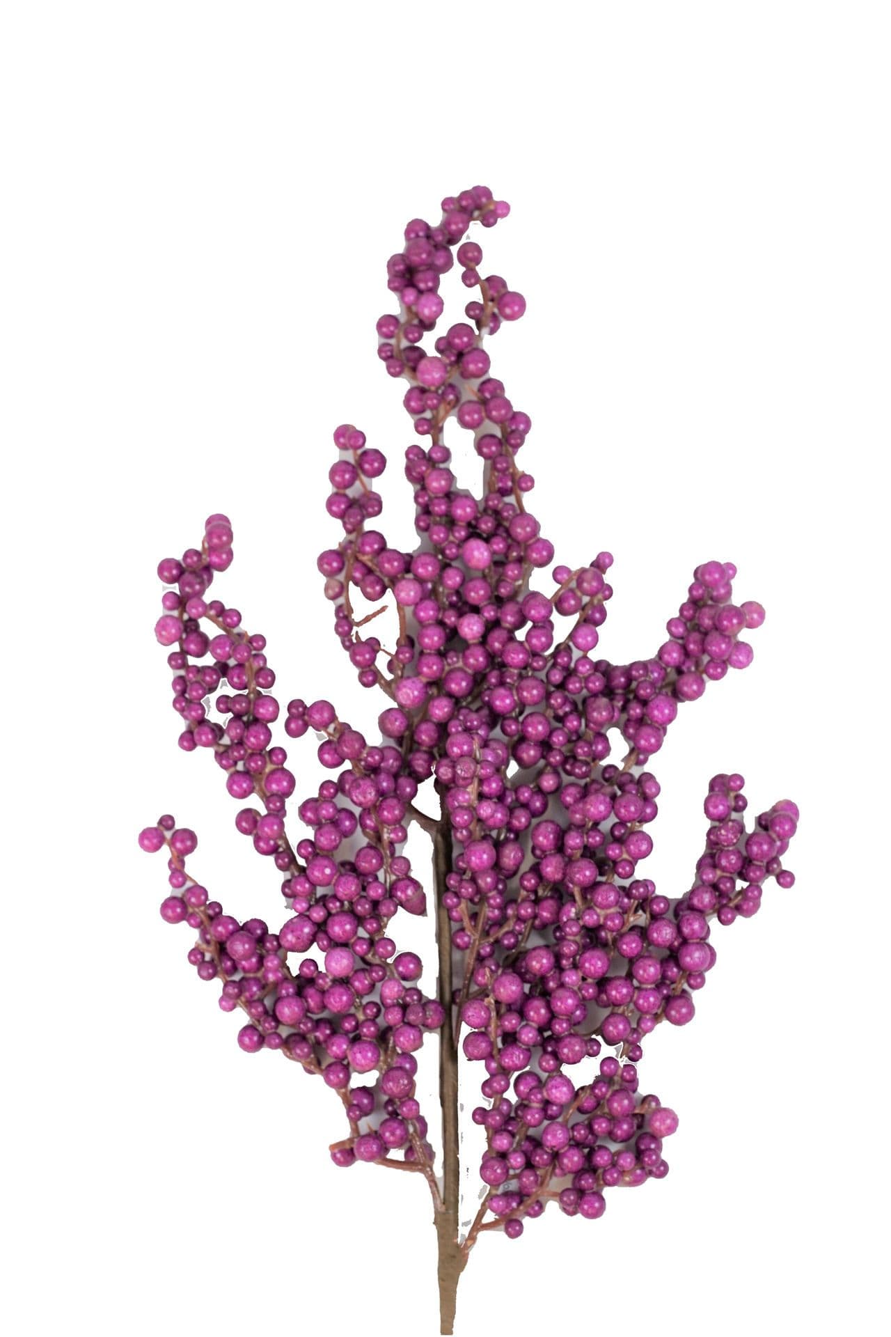 Berry Spray Purple 32"
